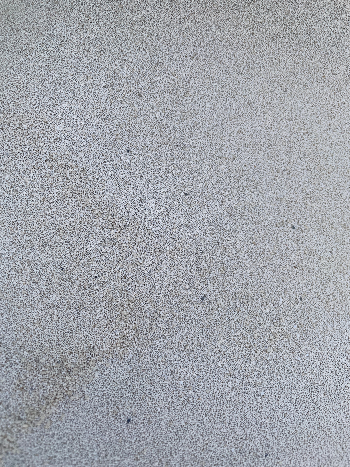 Dry Bahama Oolitic Sand – Premium Reef-Safe Substrate (1mm Grain Size)[Priced per Pound}