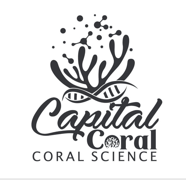 CapitalCorals