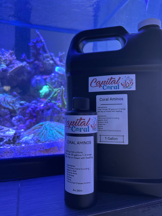 AminoFeast+ (CURRENTLY REBRANDING)