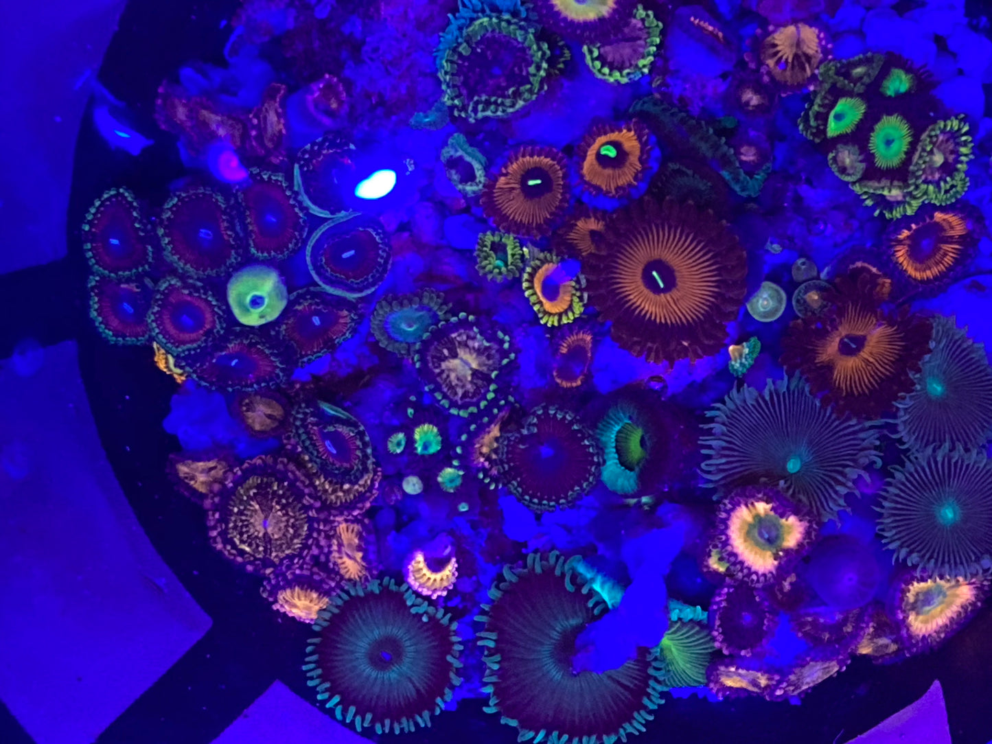 Farmers Pick Mix Package